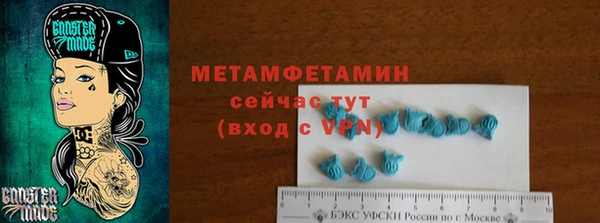 крисы Козельск