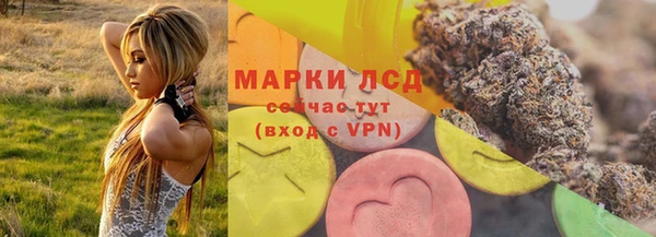 крисы Козельск