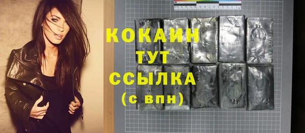 крисы Козельск