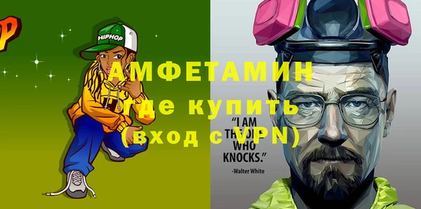крисы Козельск