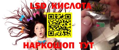 дживик Кандалакша