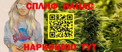 дурь Камышлов