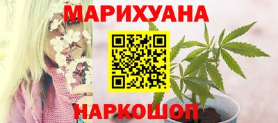 дурь Камышлов