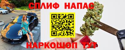 дурь Камышлов