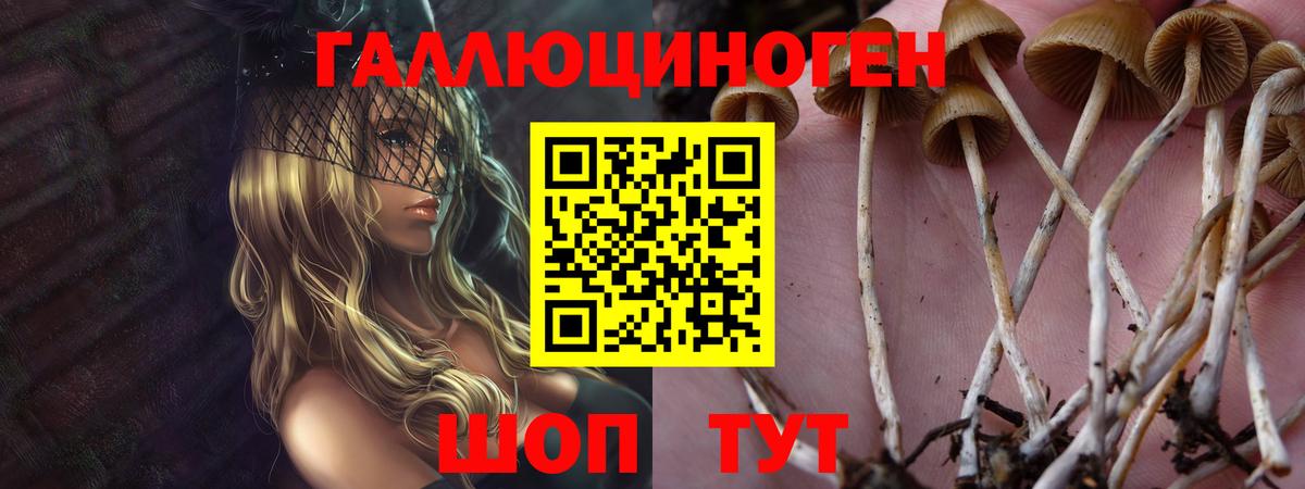 Галлюциногенные грибы ЛСД Сызрань